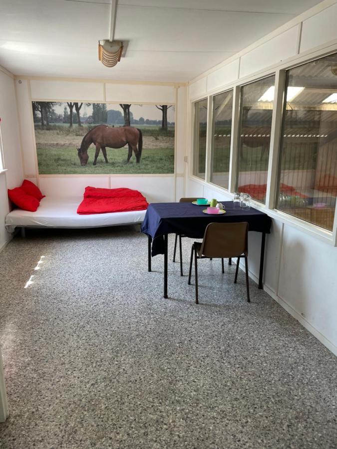 The Horse Farm Acomodação com café da manhã Garnwerd Exterior foto
